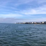 Les Mimosas *
