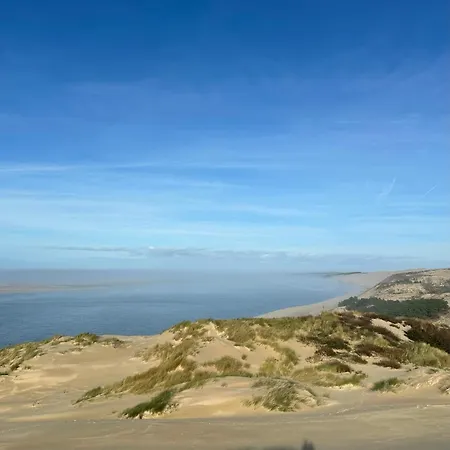 Daire Les Mimosas Arcachon