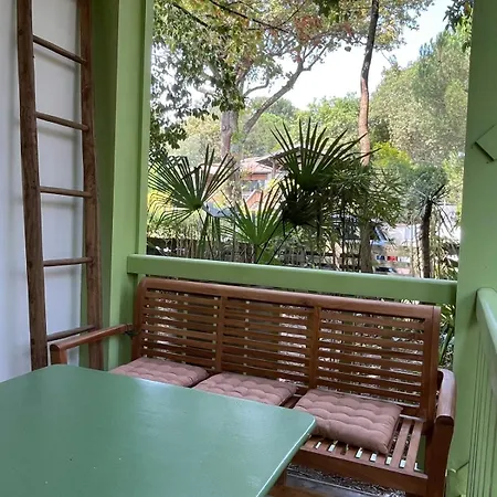 Appartement Les Mimosas *