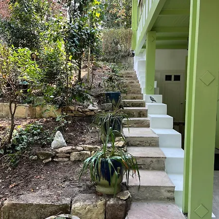 Les Mimosas