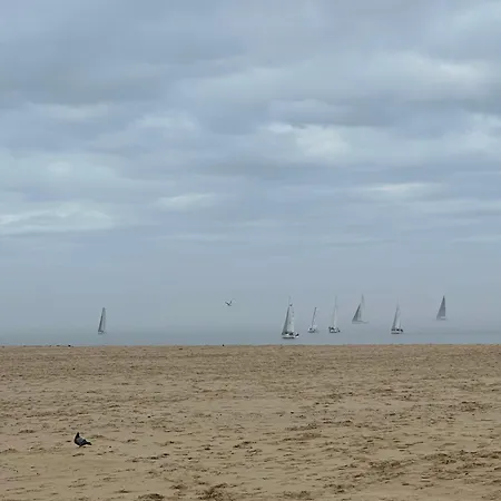 Les Mimosas Apartment Arcachon