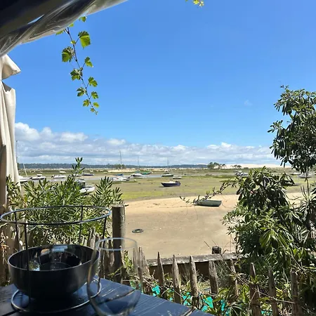 Les Mimosas Arcachon