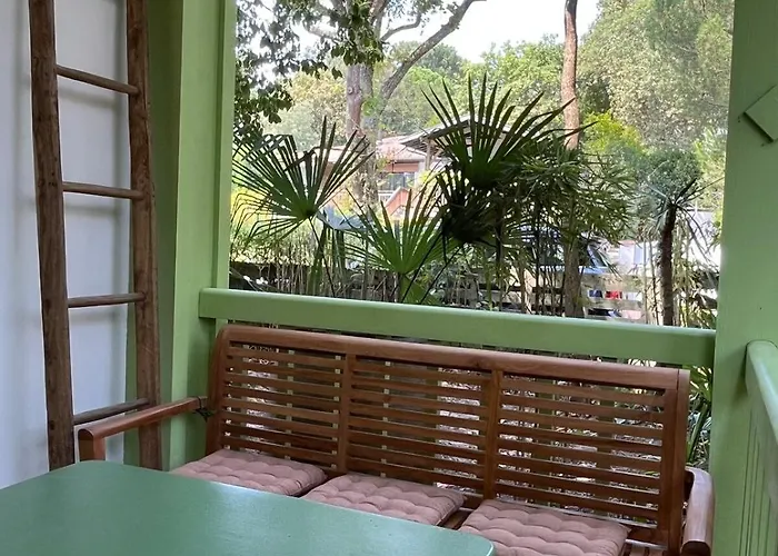 Lejlighed Les Mimosas *