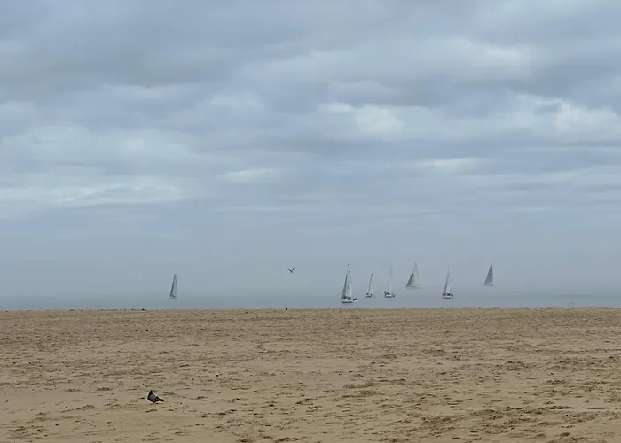 Les Mimosas Lejlighed Arcachon