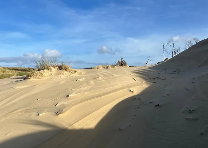 Lejlighed Les Mimosas *