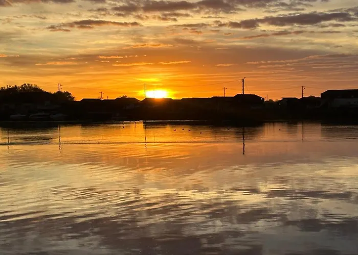 Les Mimosas Lejlighed Arcachon