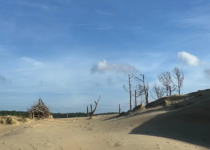 Les Mimosas * Arcachon